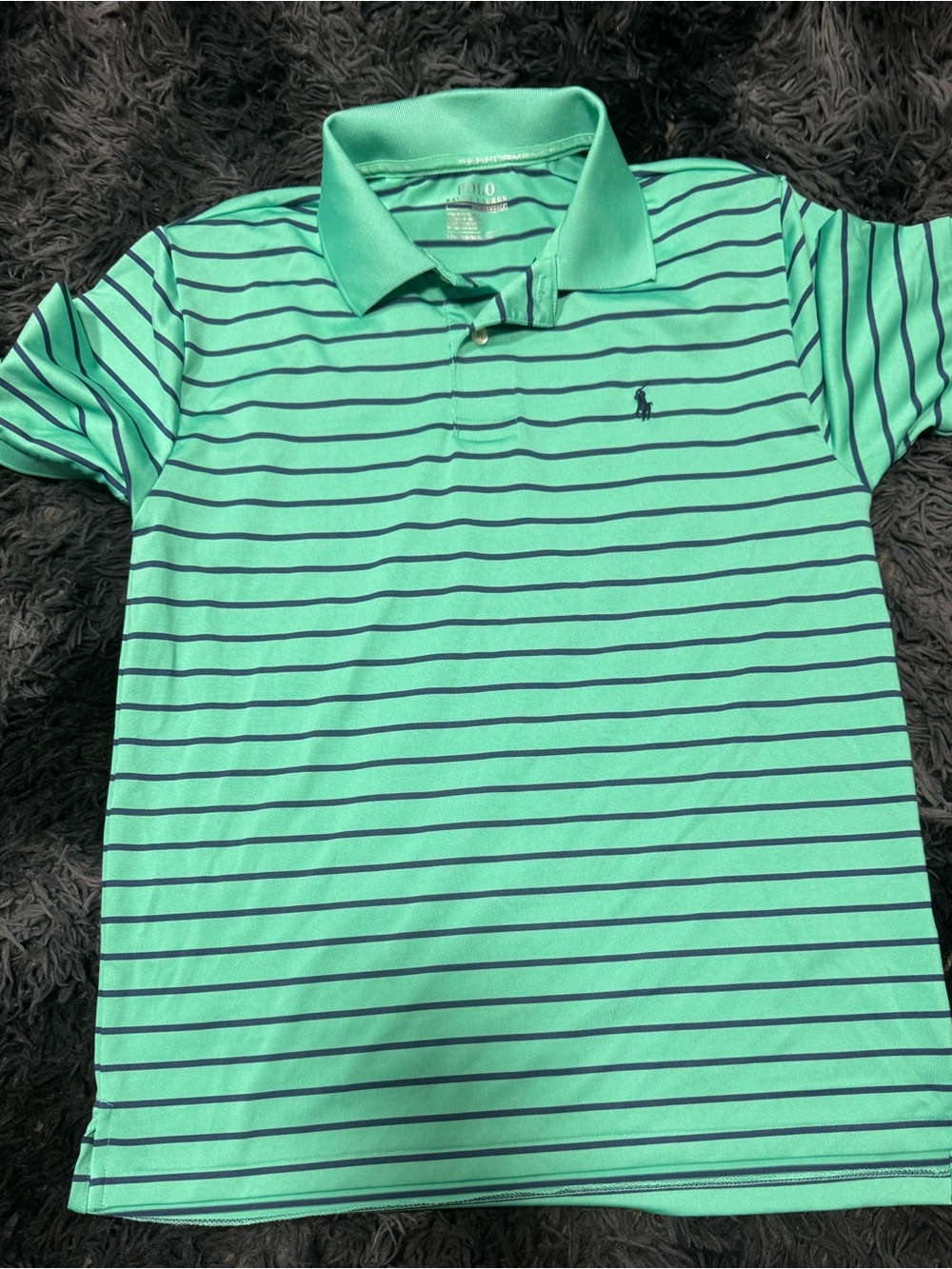 Polo by Ralph Lauren Mint Green Polo with Navy Stripes